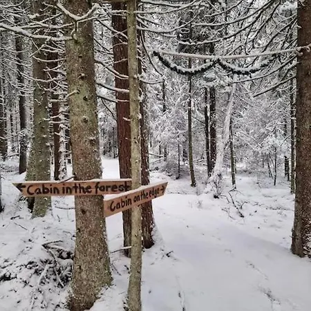 Campsite Treetop Ekne - Hytte I Skogen Med Hengebru Levanger