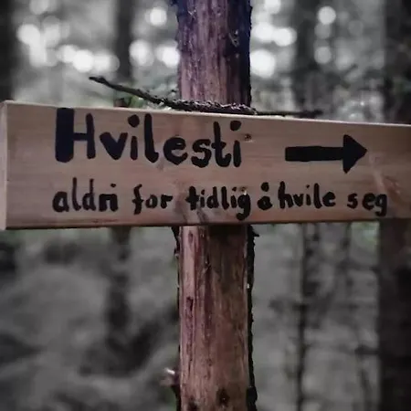 Treetop Ekne - Hytte I Skogen Med Hengebru *