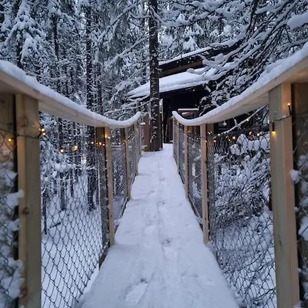 Campsite Treetop Ekne - Hytte I Skogen Med Hengebru Levanger