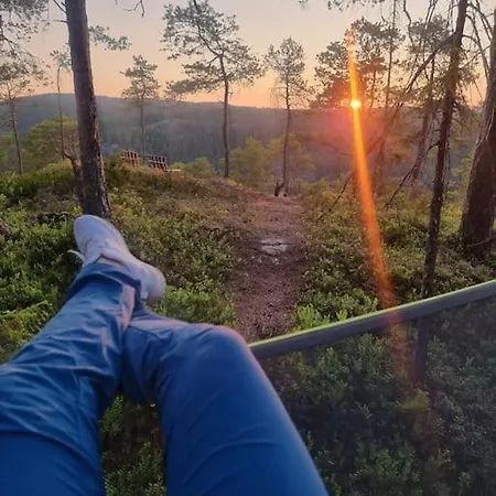 Treetop Ekne - Hytte I Skogen Med Hengebru * Levanger