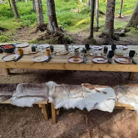 Treetop Ekne - Hytte I Skogen Med Hengebru Levanger