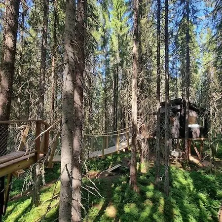 Treetop Ekne - Hytte I Skogen Med Hengebru * Levanger