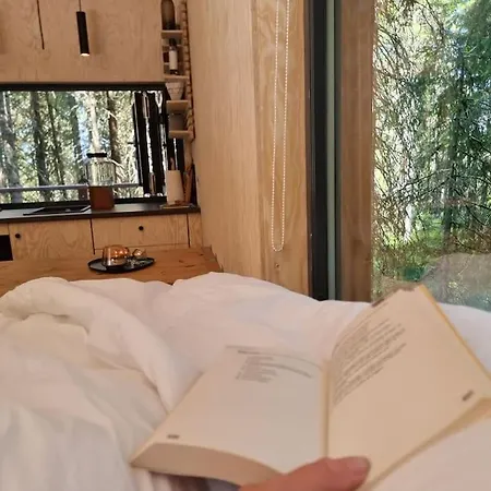 Campsite Treetop Ekne - Hytte I Skogen Med Hengebru Levanger