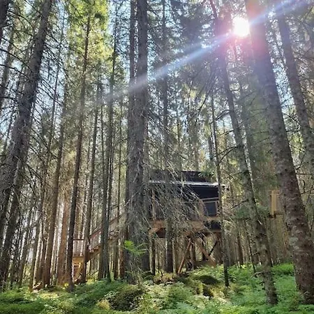 Treetop Ekne - Hytte I Skogen Med Hengebru Campsite