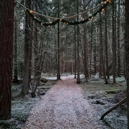 Treetop Ekne - Hytte I Skogen Med Hengebru Kemping