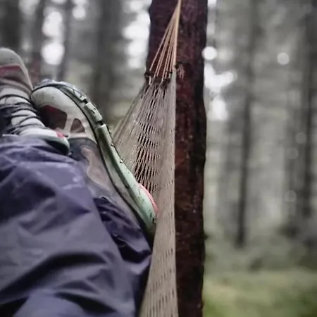 Treetop Ekne - Hytte I Skogen Med Hengebru Kemping Levanger