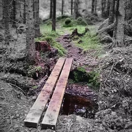 Treetop Ekne - Hytte I Skogen Med Hengebru Kemping *